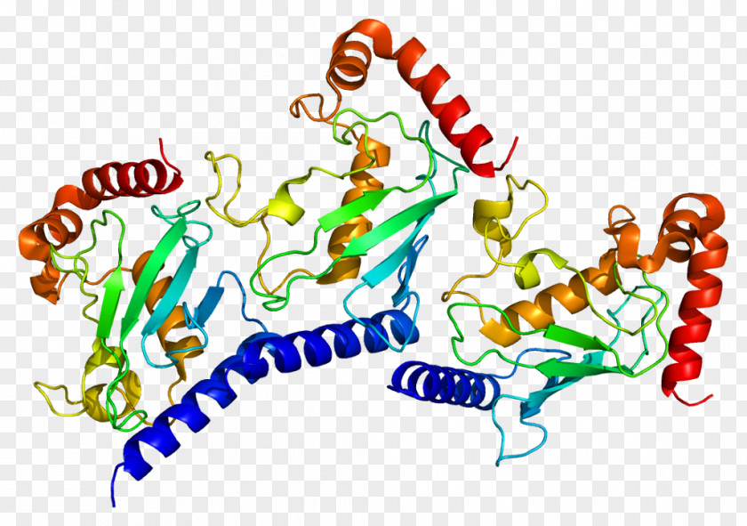 UBE2G2 Protein Ubiquitin-activating Enzyme Gene Ubiquitin-conjugating PNG