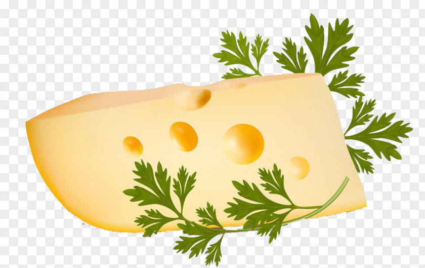 Cheese Vegetable Garlic Illustration PNG