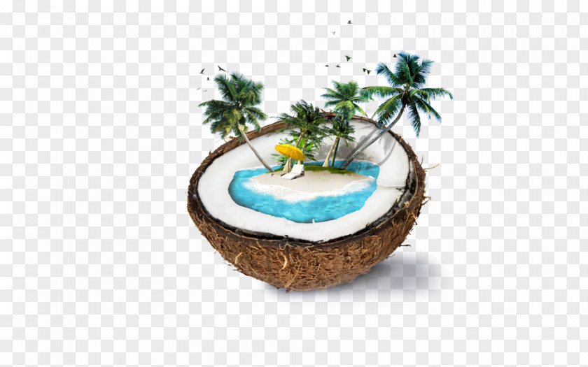 Coconut And Palm Beach Nadi Weligama Water Milk PNG