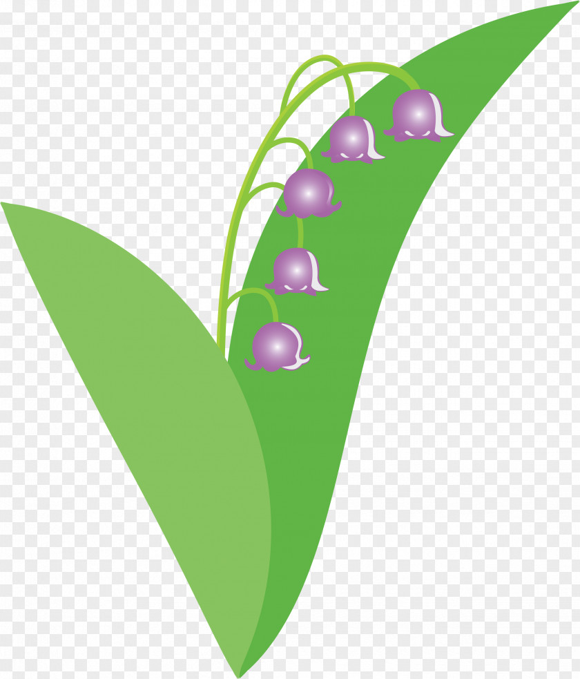 Lily Bell Flower PNG