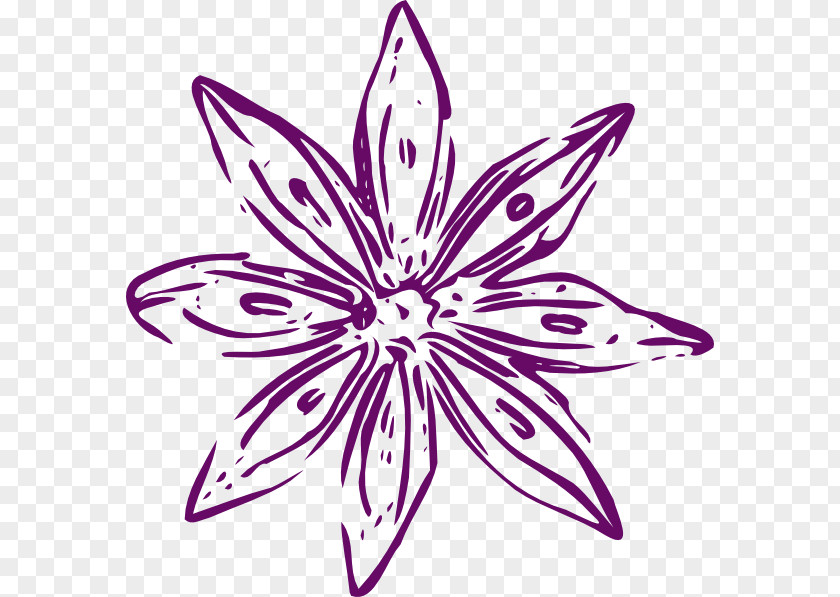 Purple Flower Line Art Clip PNG