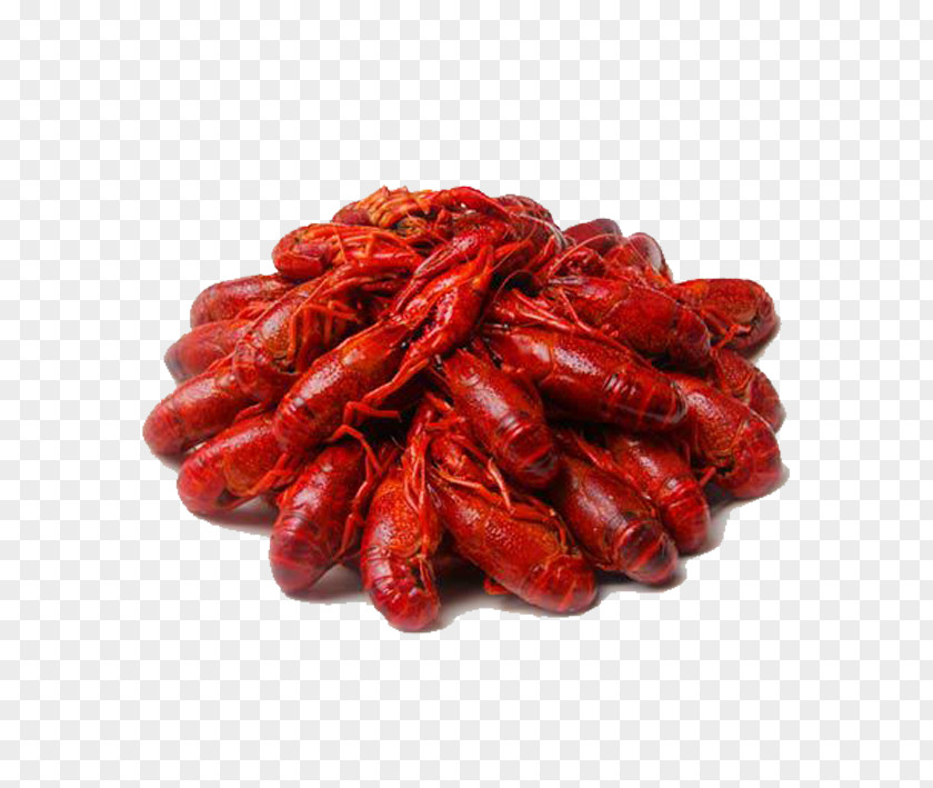 Slightly Spicy, Fire Crayfish China Google Images PNG