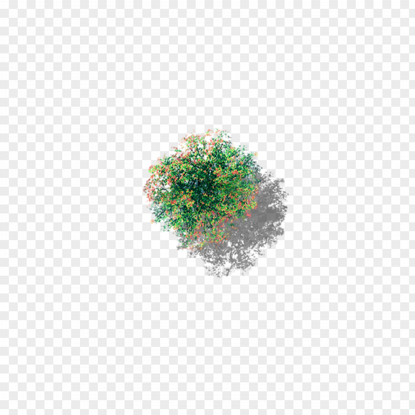 Overlooking The Tree Full Of Flowers PNG the tree full of flowers clipart PNG
