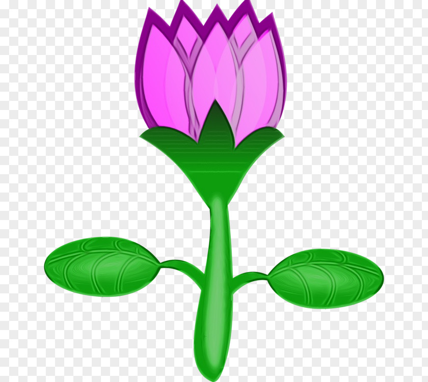 Sacred Lotus Drawing Flower Cartoon Line Art PNG