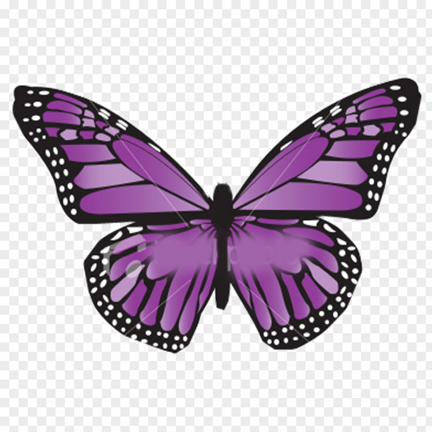 U Cancer Awareness Ribbon Butterfly Tiki Match Lymphoma PNG