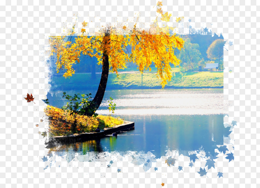 Autumn Desktop Wallpaper Color PNG