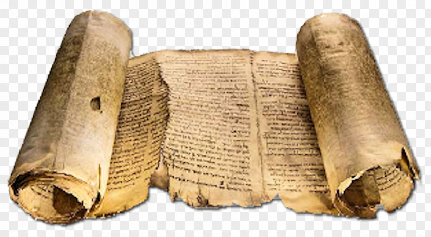 Book Bible Dead Sea Scrolls Qumran Old Testament Biblical Studies PNG