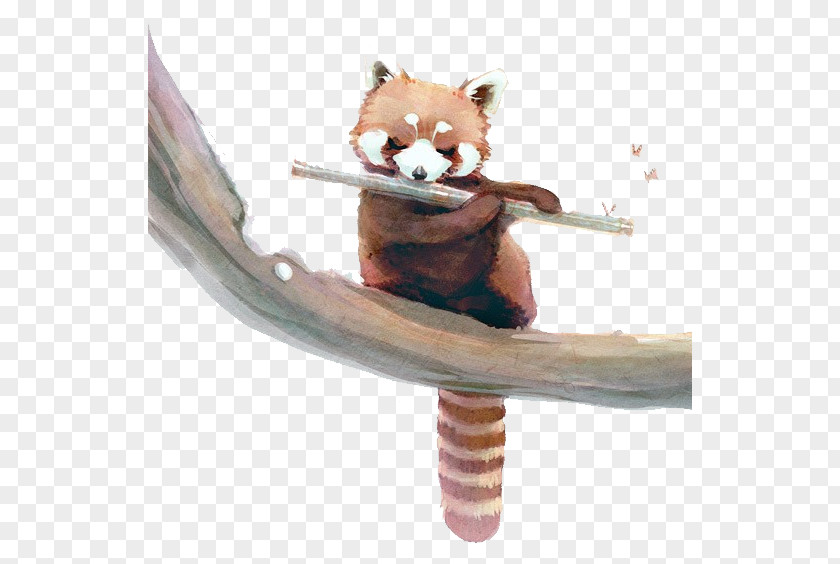 Flute Animals Red Panda The Giant Bear Crane PNG