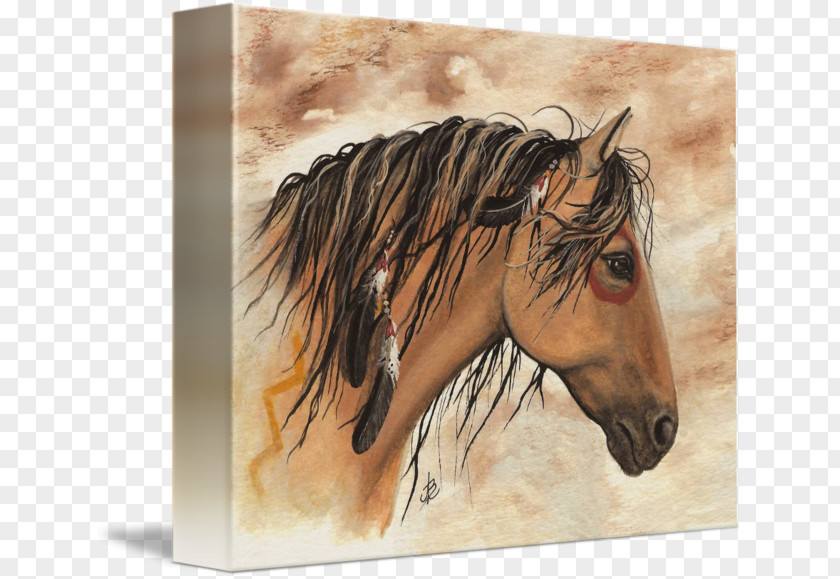 Pinto Horse Mustang Mane Bridle Painting Buckskin PNG