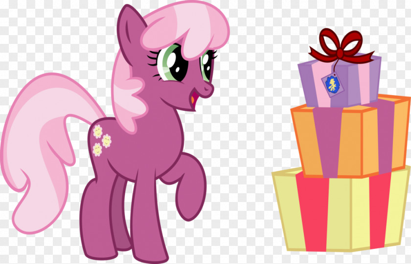 Spa Cartoon Images Pony Cheerilee Gift Birthday Clip Art PNG