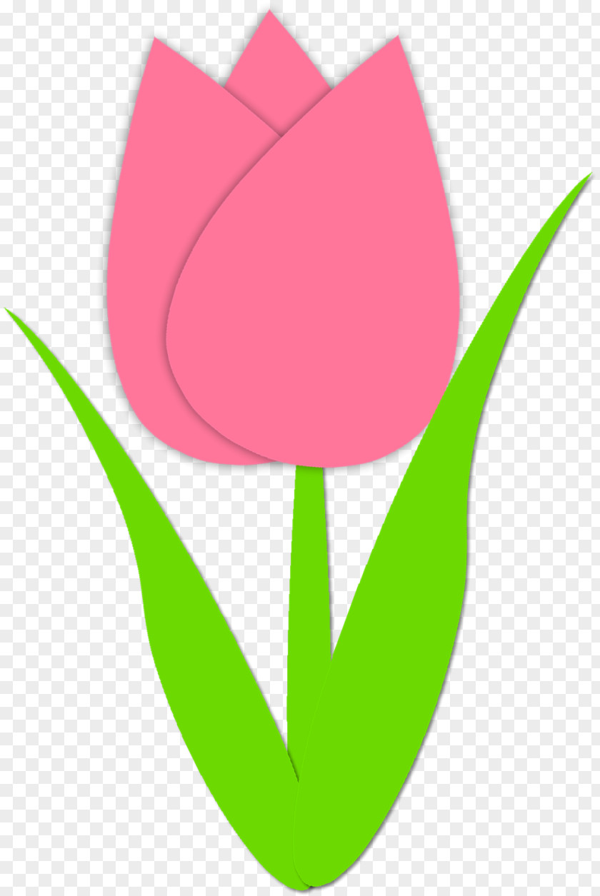 Tulips Tulip Download Clip Art PNG