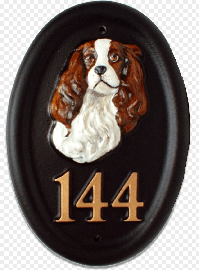 Dog Spaniel PNG