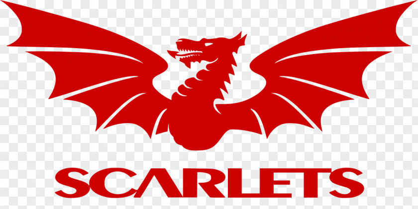 Football Logo Parc Y Scarlets Leinster Rugby Guinness PRO14 European Champions Cup PNG