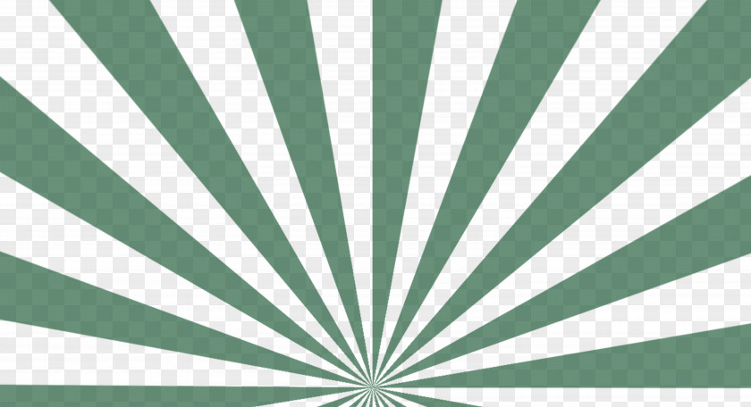 Green Ray Background Flash Light PNG