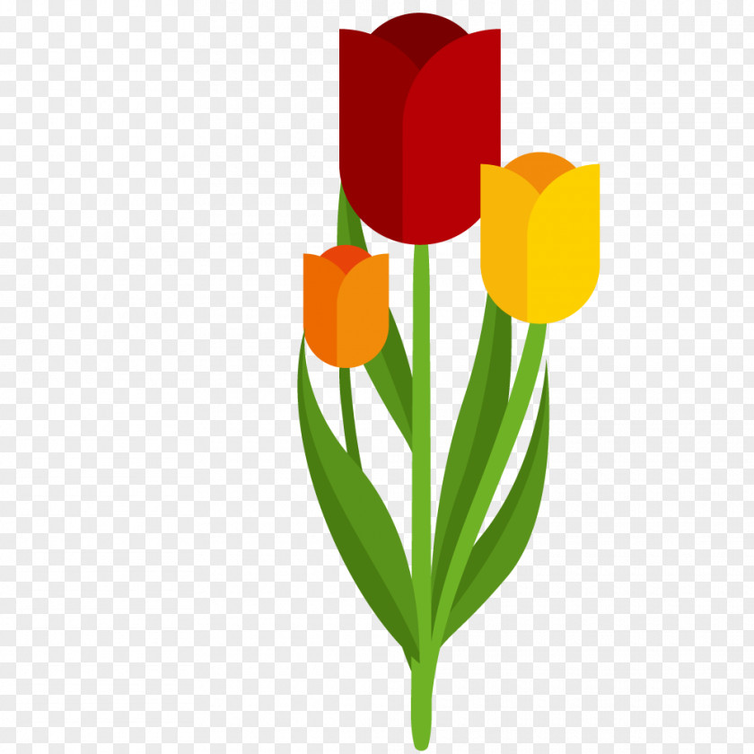 Hand-painted Tulip Vector Euclidean Illustration PNG