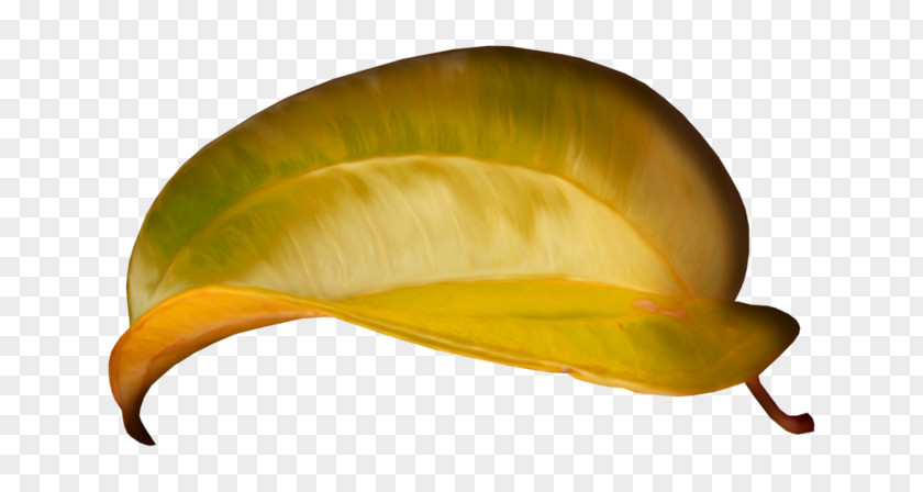 Hat Helmet Leaf Yellow Headgear Plant PNG
