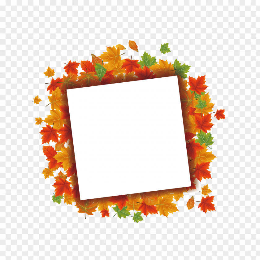 Maple Leaf Square Border Euclidean Vector Autumn PNG