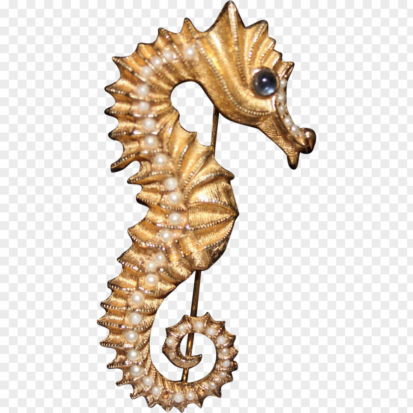 Seahorse Earring Brooch Jewellery Necklace PNG