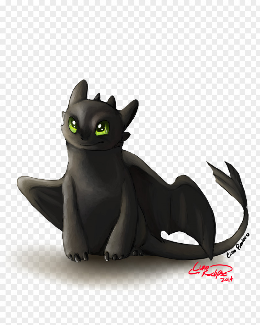 Toothless Cat Carnivora Pet Tail PNG