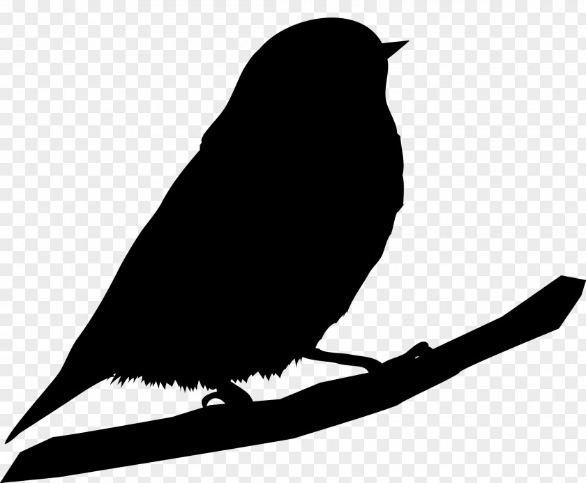 Beak Clip Art Fauna Silhouette PNG