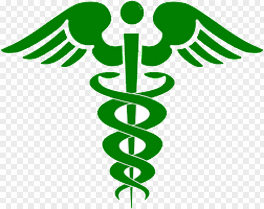 Health Care Medicine Clip Art PNG