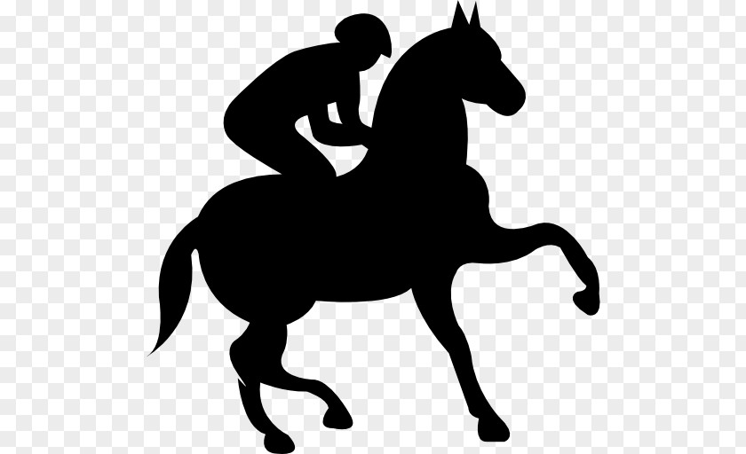 Horse Riding Equestrian Jockey Clip Art PNG