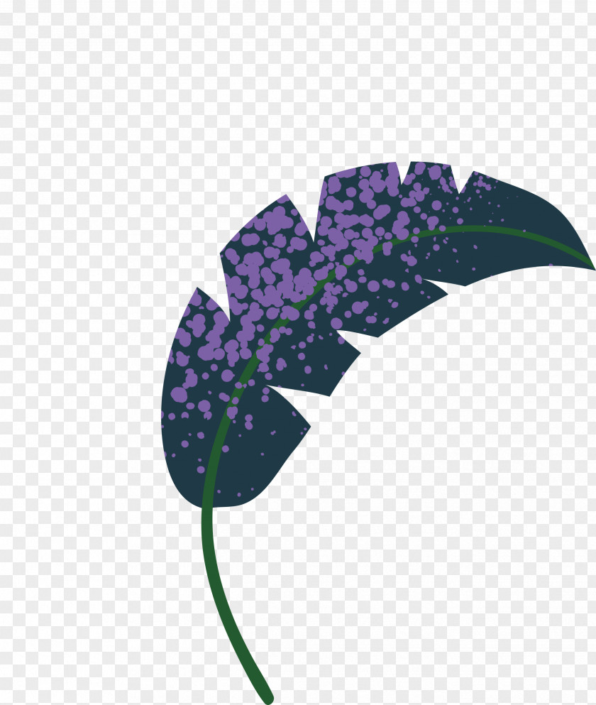 Leaf Purple Biology Plants Plant Structure PNG