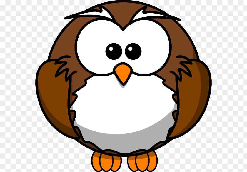Owl Eyes Cliparts Cartoon Clip Art PNG