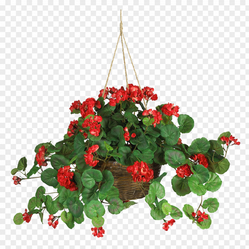 Plant Crane's-bill Hanging Basket Sweet Scented Geranium Silk PNG