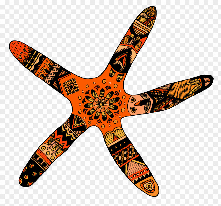 Starfish Food Airplane PNG
