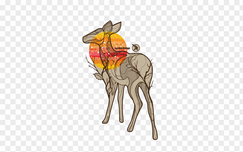 Deer Mammal Illustration PNG