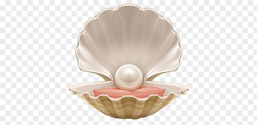 Pearls PNG clipart PNG