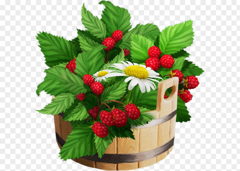 Strawberry Raspberry Varenye Fruit Clip Art PNG