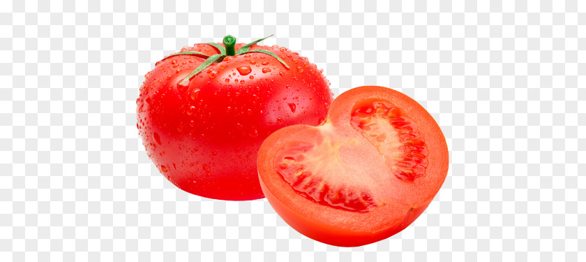 Tomato PNG clipart PNG