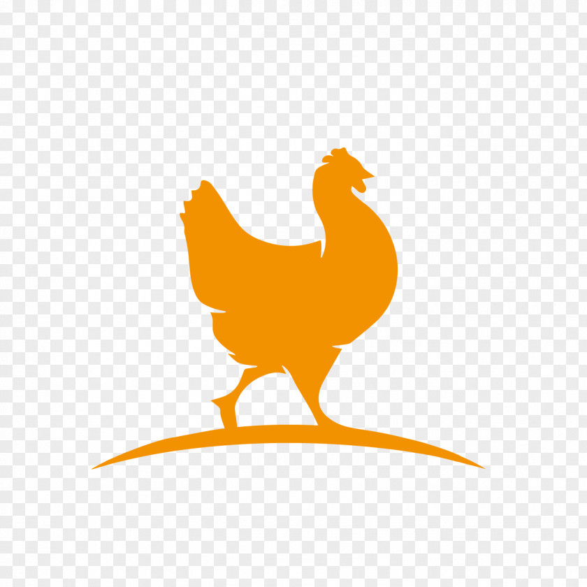 Virus De La Enfermedad Bursal Infecciosa Rooster Chicken Stock Photography Royalty-free Logo PNG