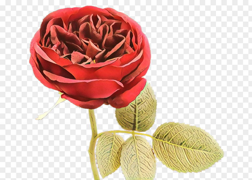 Artificial Flower Rose Order Flowers Background PNG