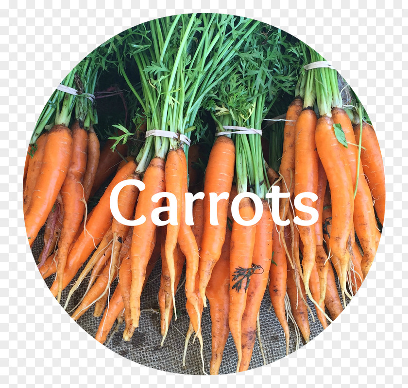 Carrot Plant Baby Natural Foods Vienna Sausage Local Food PNG