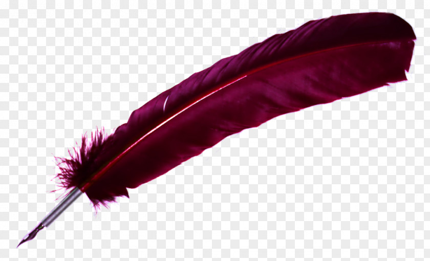 Feather Paper Quill Dip Pen PNG