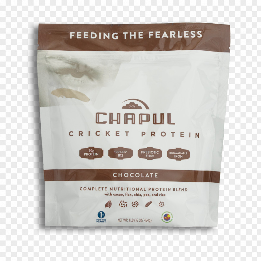 Flour Cricket Chocolate Chip Cookie Complete Protein Food PNG