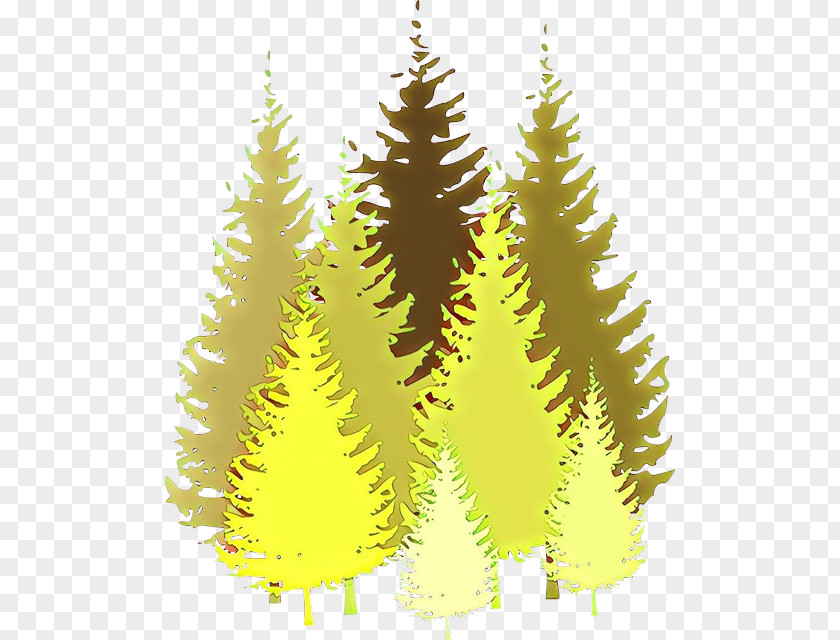 Hackmatack Plant Shortleaf Black Spruce Oregon Pine Tree Lodgepole Yellow PNG