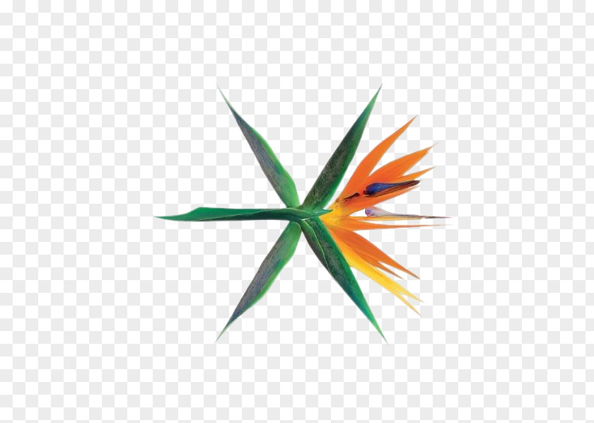 Korean Flavor The War EXO Ko Bop Album Cover PNG