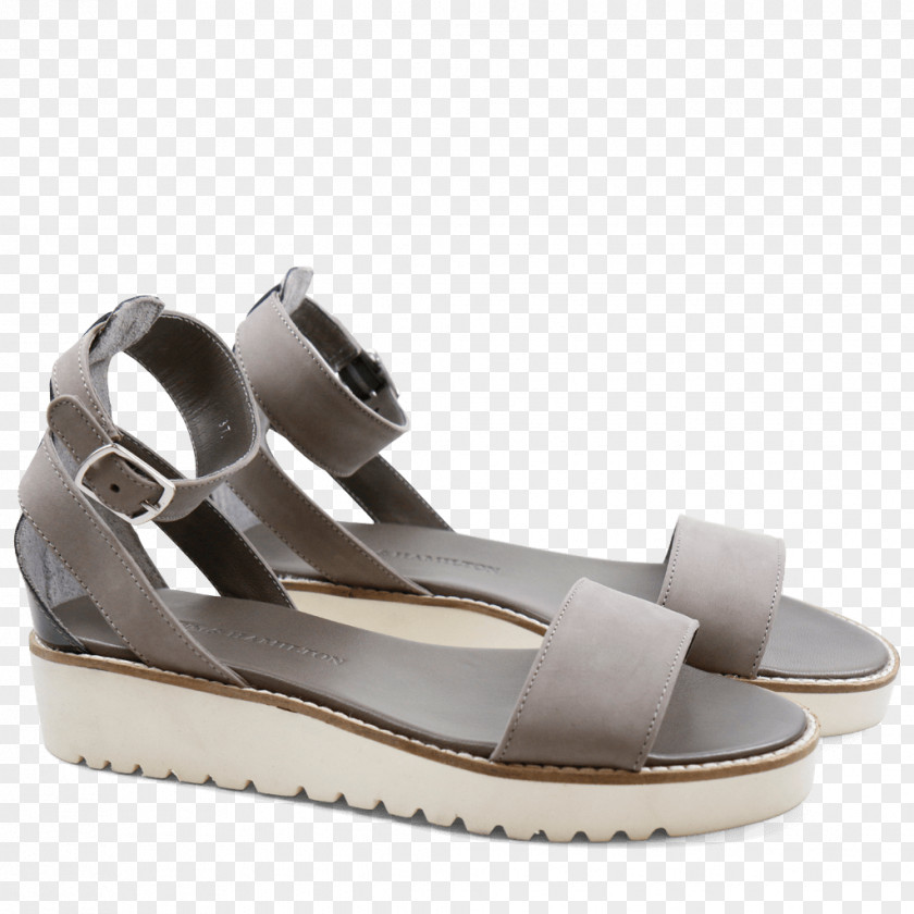 Sandal Ladakh Shoe PNG