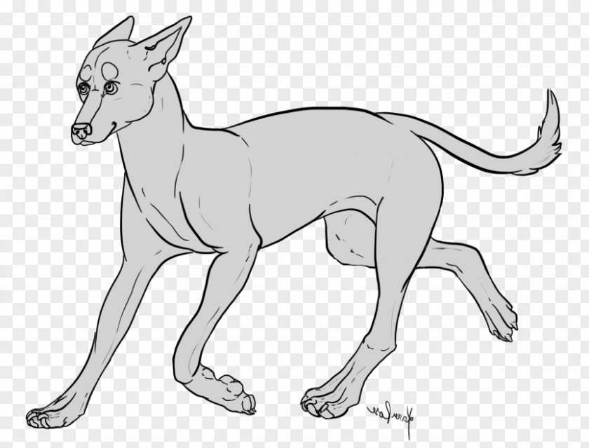 Dog Breed Macropodidae Line Art Paw PNG