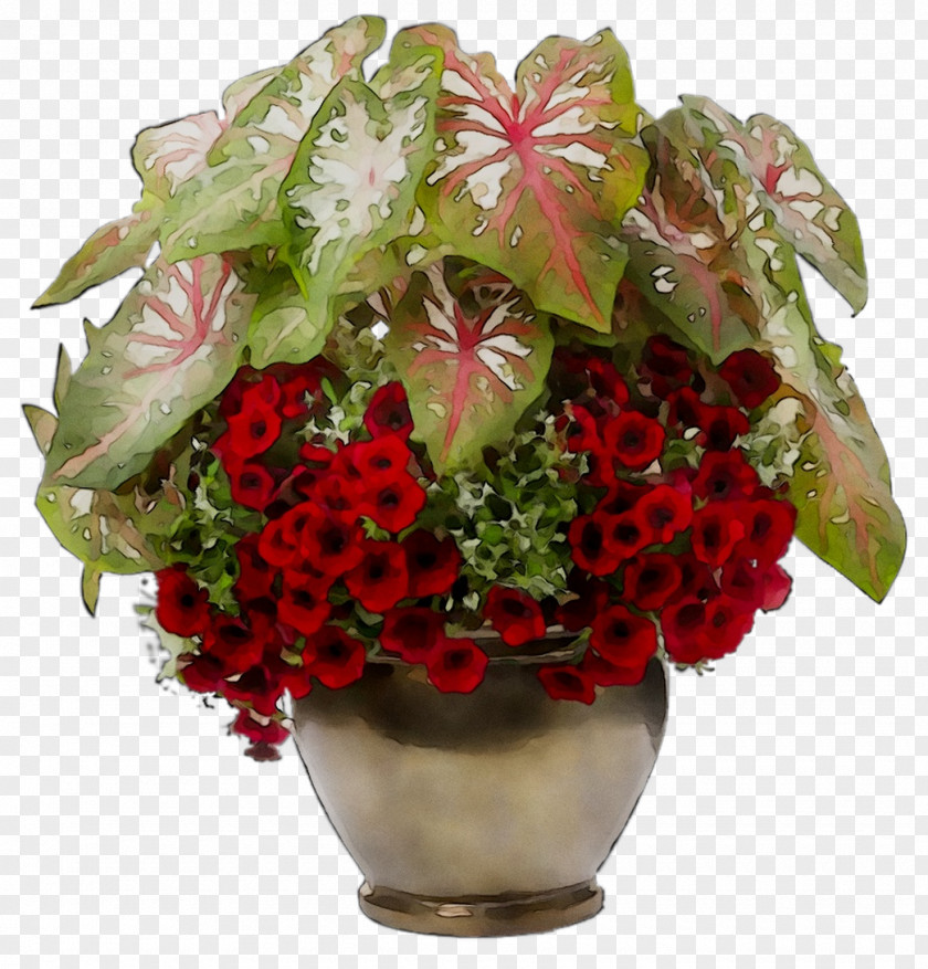 Floral Design Cut Flowers Flower Bouquet Fruit PNG