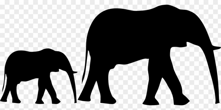 Elephant SAFARİ Elephantidae Asian Silhouette Mother PNG
