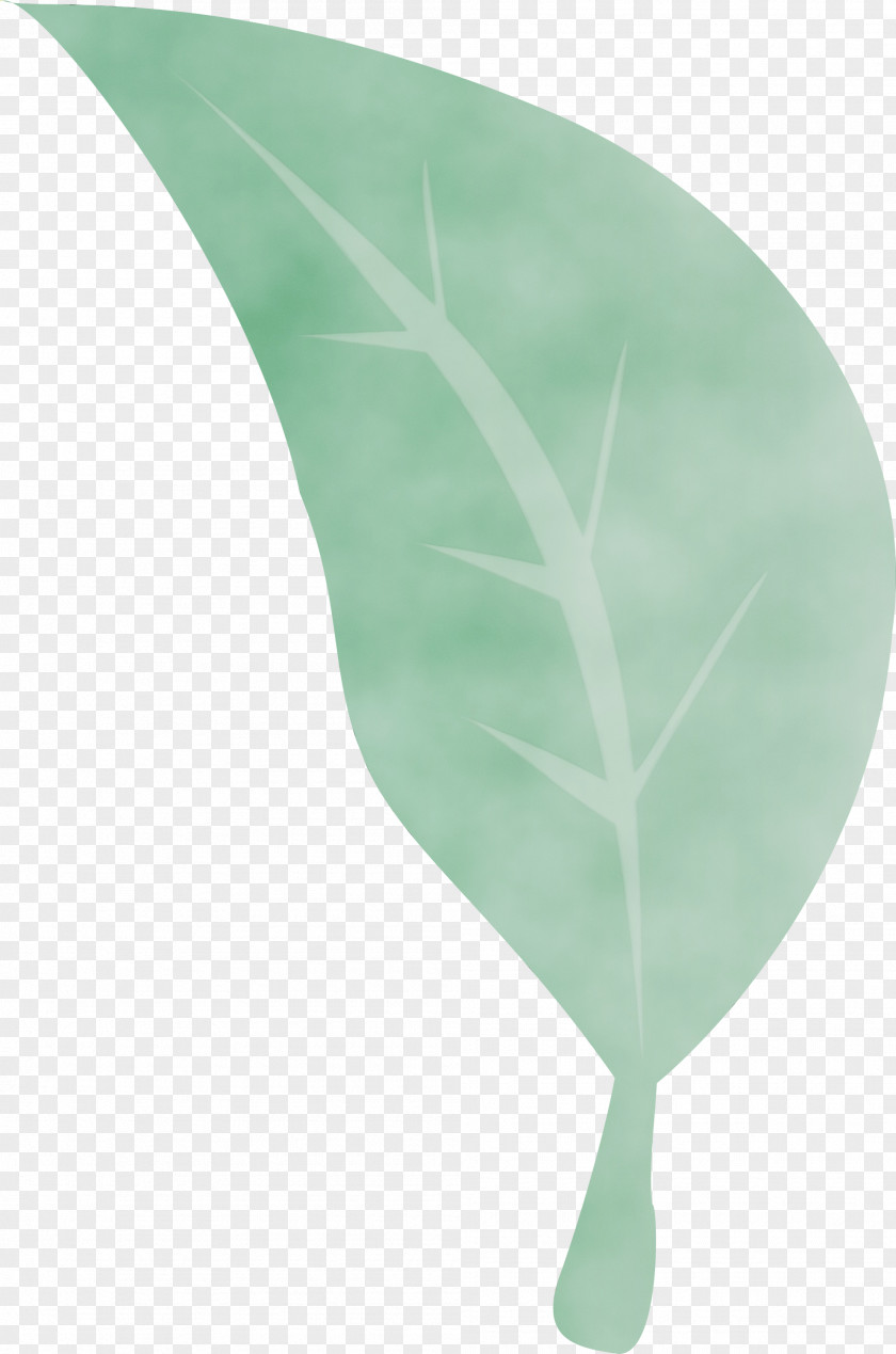 Floral Design PNG