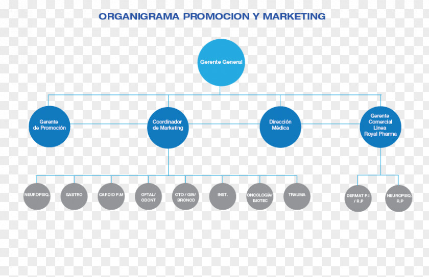 Line Brand Organization PNG