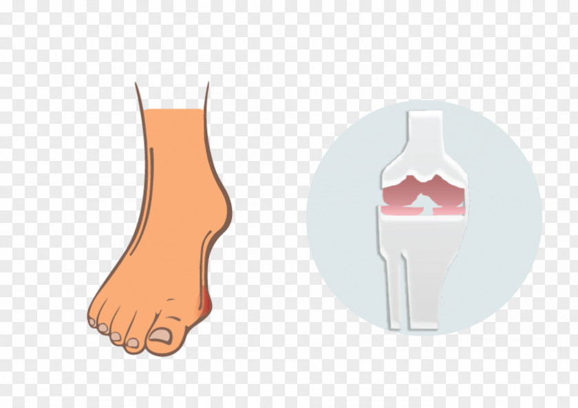 Nail Ankle Thumb Hand Model Finger Human Leg PNG