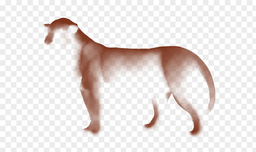 Puppy Dog Breed Italian Greyhound Cat PNG