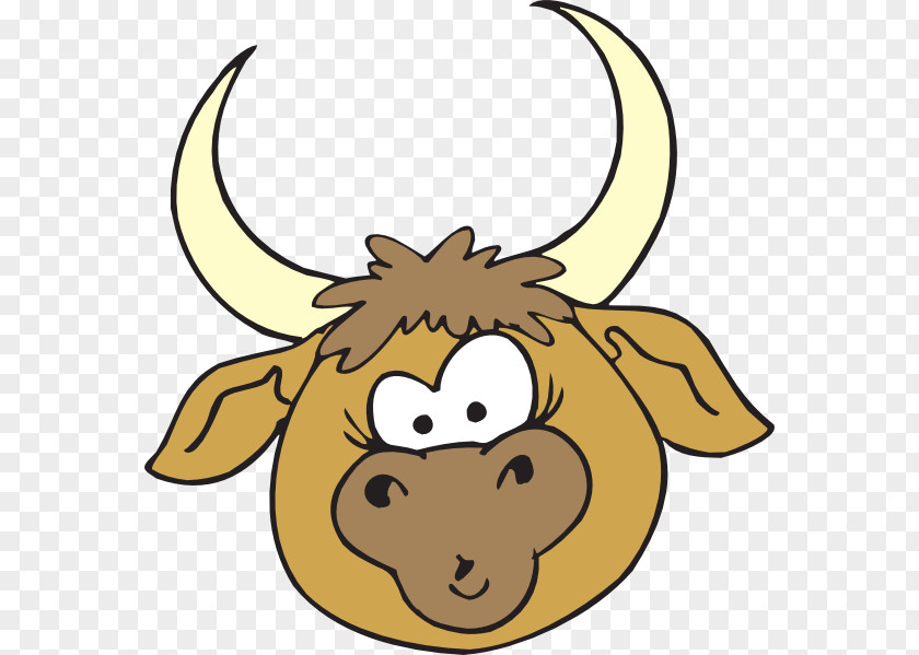 Steer Head Cliparts Texas Longhorn English Bull Clip Art PNG